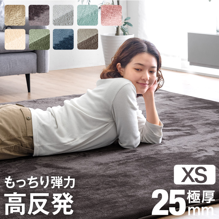 タンスのゲン 本日+4% ラグ 1畳 厚手 カーペット 90×180 XS ラグマット