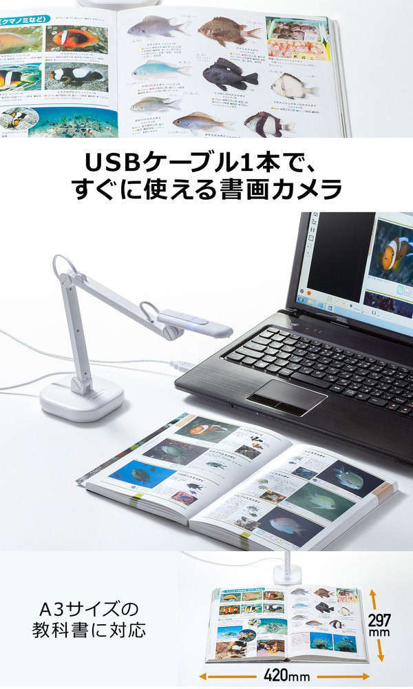 サンワサプライ　CMS-V46W　USB書画カメラ　(CMSV46W)