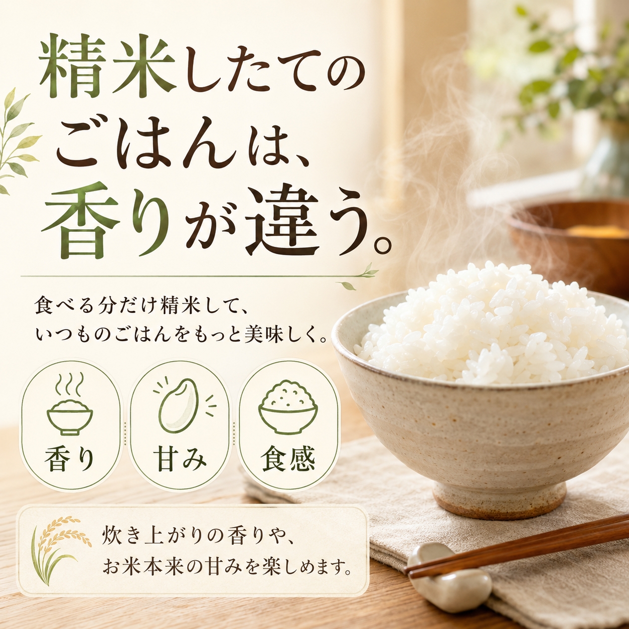 山本電気 【ぬか漬け専用袋プレゼント】精米機 5合 匠味米 MB-RC52 無