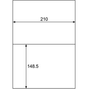 ds-2227989　(まとめ)　ヒサゴ　エコノミーラベル　A4　1冊(30シート)　2面210×148.5mm　ELM002S　(ds2227989)