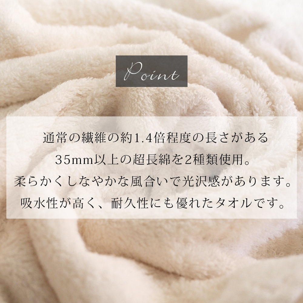フェイスタオル 2枚セット ツインリッチ TWIN RICH タオルセット