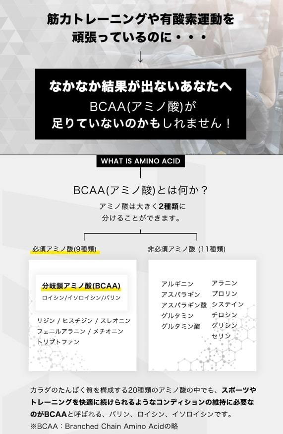 必須アミノ酸9種類と非必須アミノ酸11種類