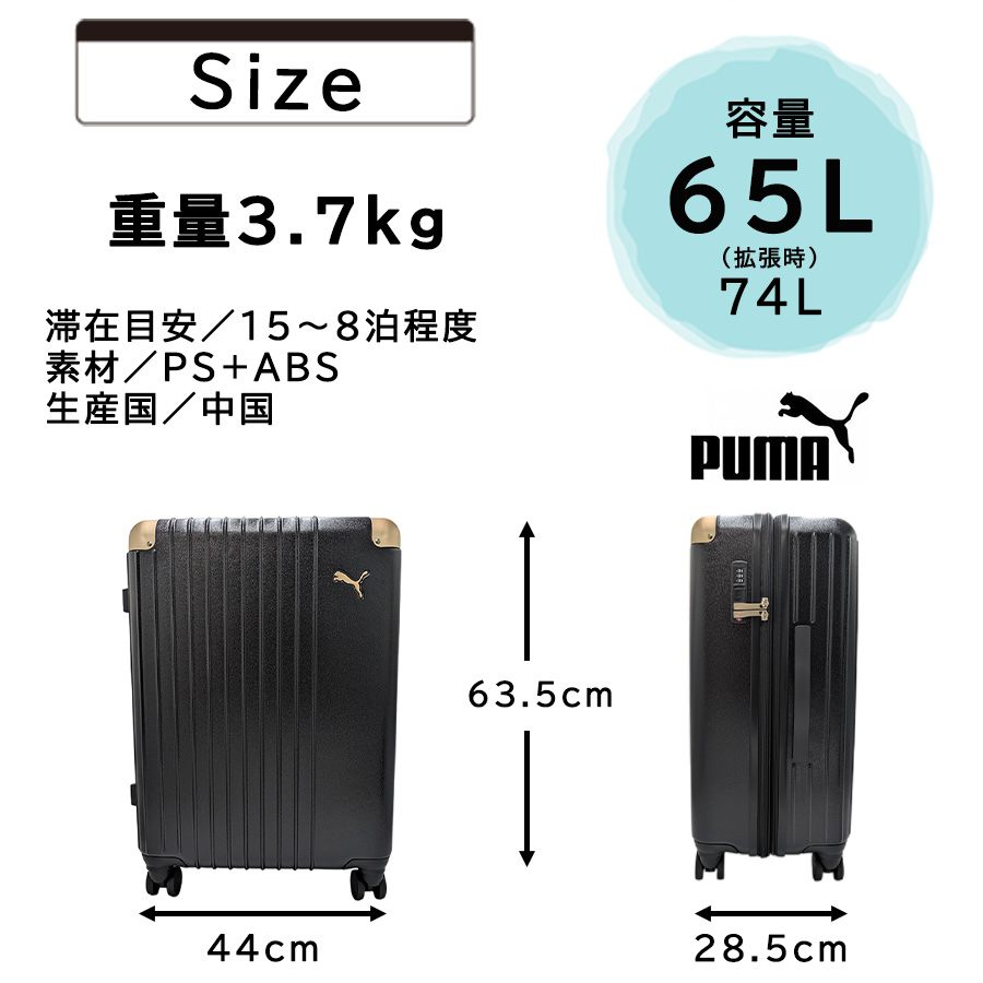 puma-030906-8.jpg