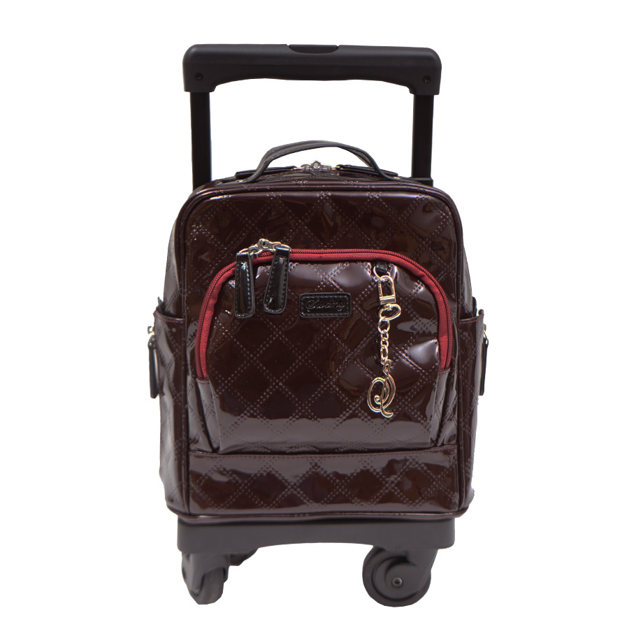 SWANY（スワニー） キャリー ウォーキング ショッピング カート 機内