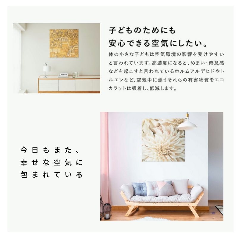エコカラット エコカラットセルフ エコカラットプラス ベースシート付