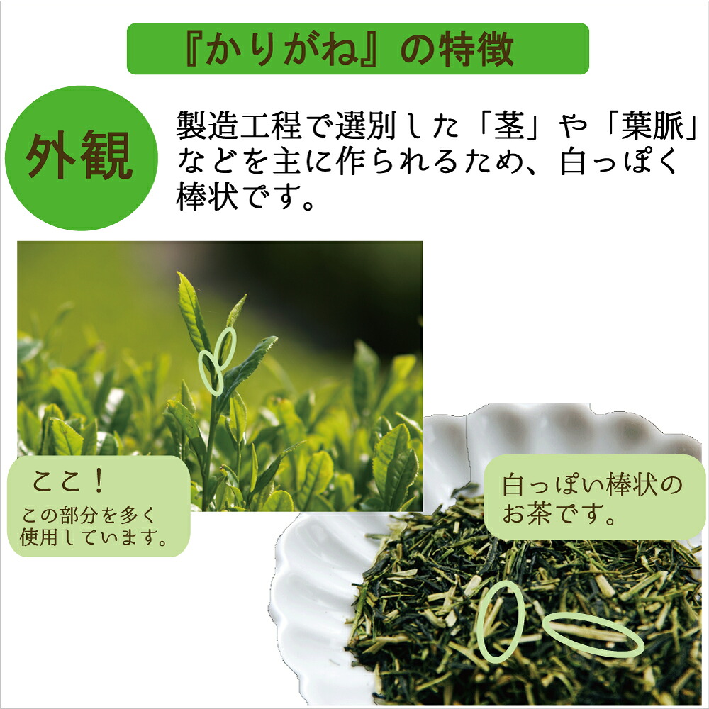 緑茶 茶葉 お茶 たていし園自慢のお茶 1.7Kg かりがね群竹340g×5袋