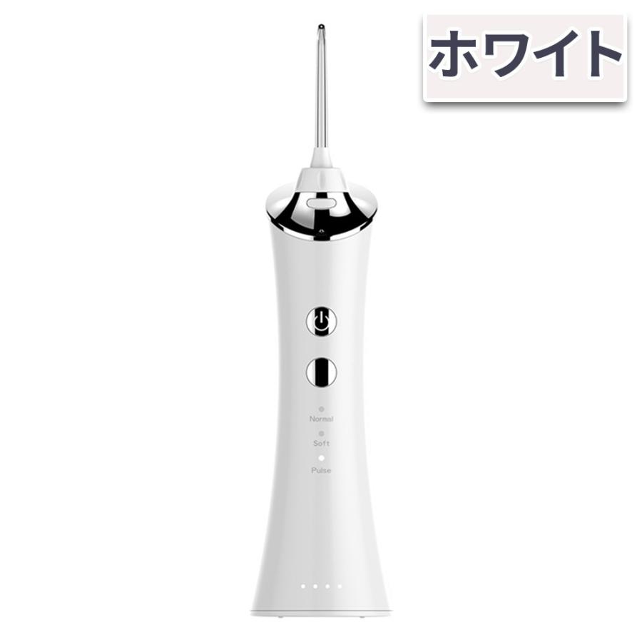 安い購入 口腔洗浄器 ジェットウォッシャー 歯垢除去 電動 口内洗浄機 ウォーターピック 歯ブラシ IPX7防水 水流洗浄 強弱切り USB  日本語取扱説明書付 口腔ケア 父の日