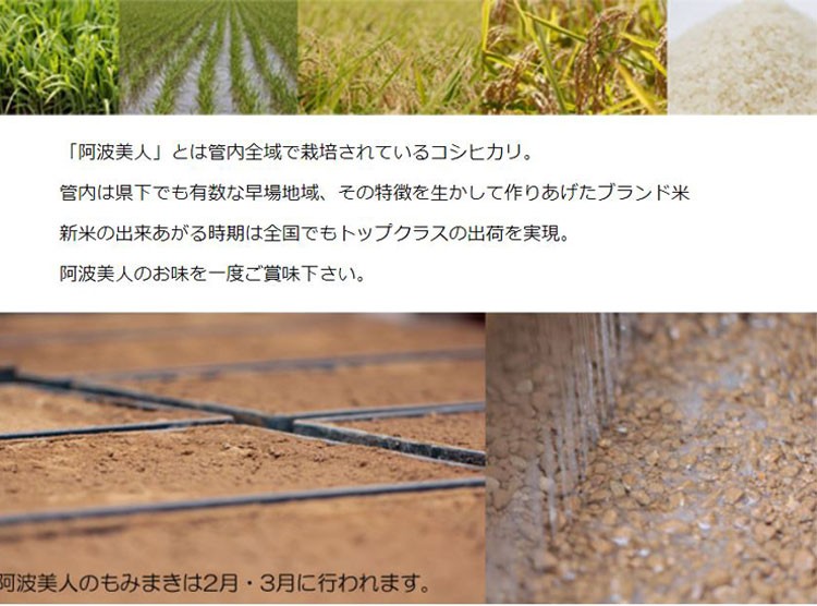 か*ん様 徳島県産　コシヒカリ　古米　令和5年度米　水稲うるち米　15キロ　精米 米 徳島県産」の人気商品一覧 | 安い商品を通販サイトから探す