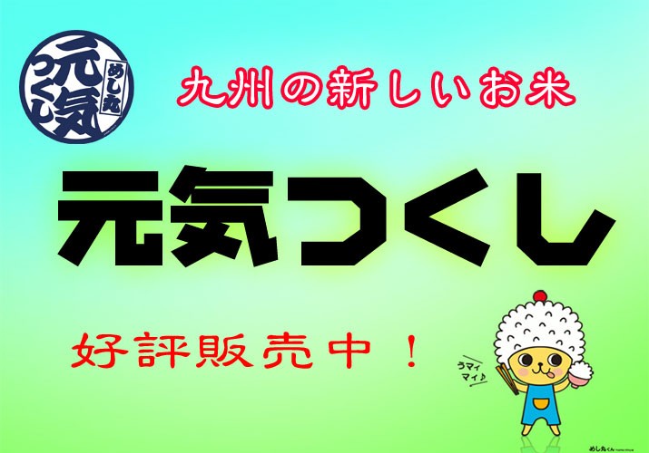 商品詳細 令和5年産 特別栽培米 福岡県産 元気つくし 5kg 送料無料