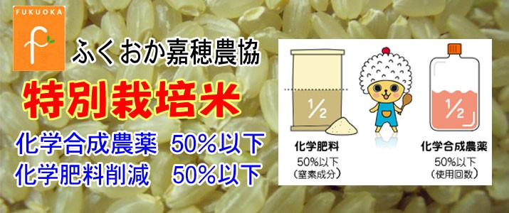 特価品✴令和６年米☆彡福岡県産米　元気つくし 産地直送１０キロ 特価品✴令和6年米☆彡福岡県産米 元気つくし 産地直送10キロ