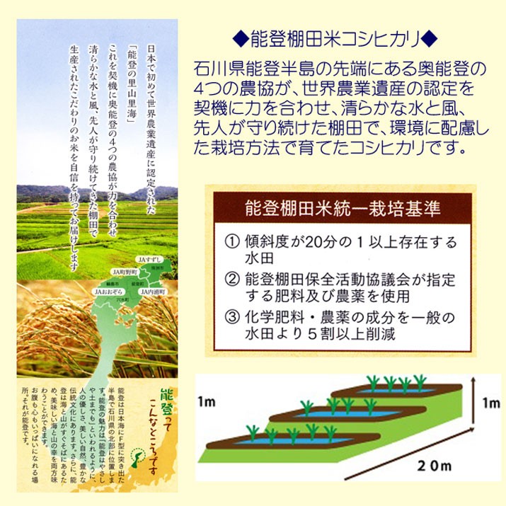 コシヒカリ 米 10kg 特別栽培米 石川県産 奥能登 棚田 お米 10