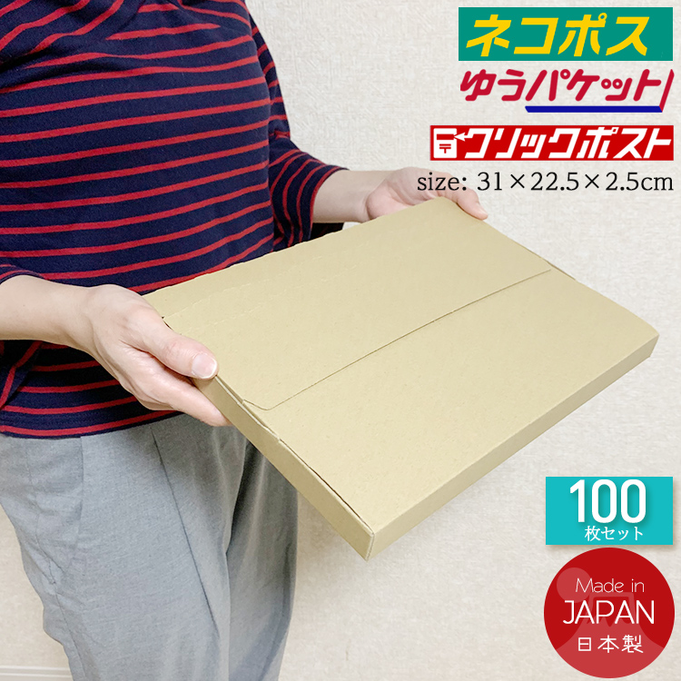 大口まとめ買い】100枚セット ネコポスケース マチ2.5cm A4 ネコポス 