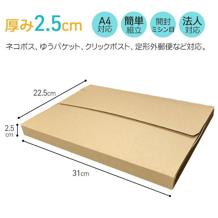 大口まとめ買い】100枚セット ネコポスケース マチ2.5cm A4 ネコポス 