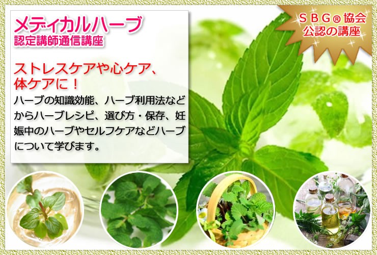 メディカルハーブ 認定講師通信講座