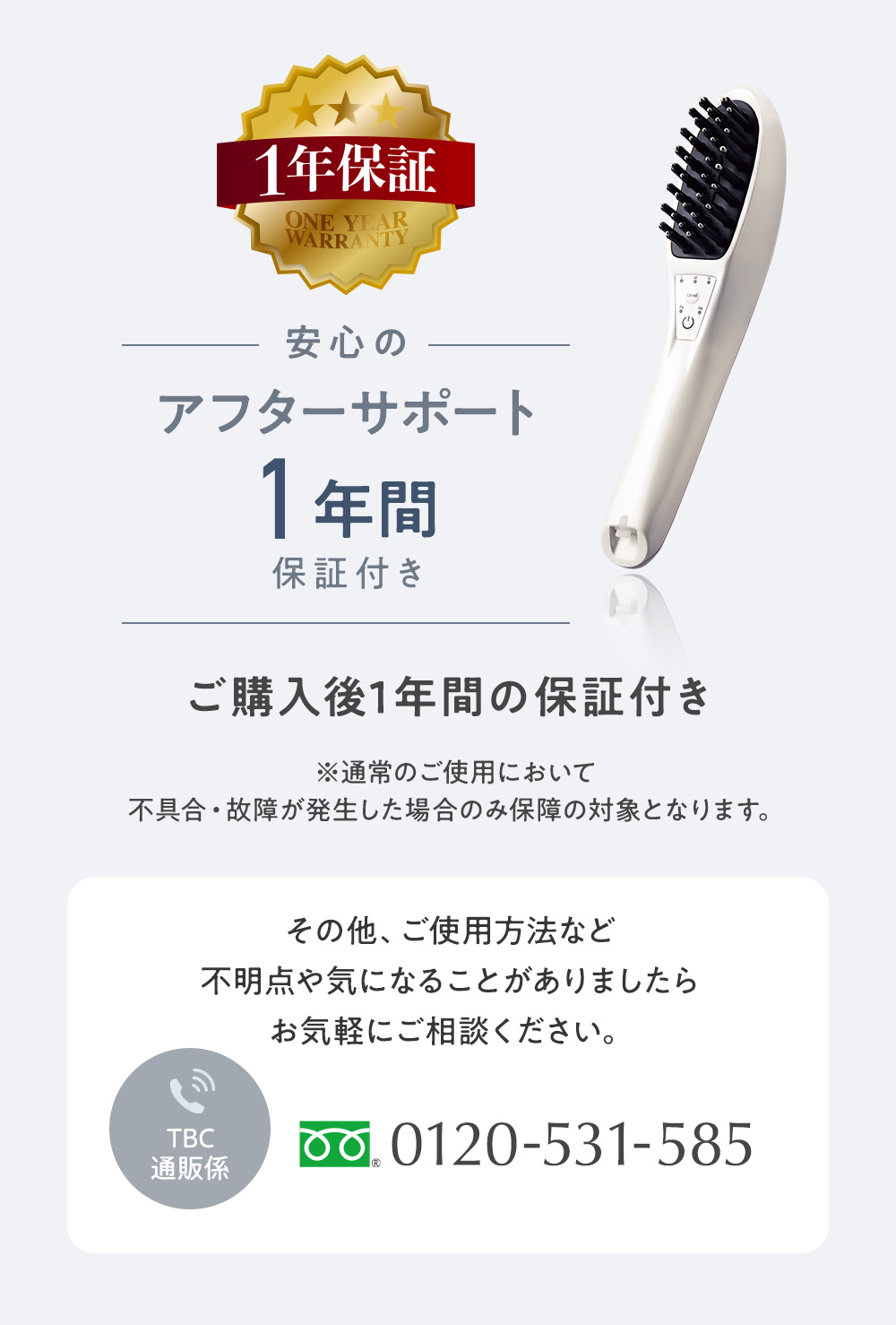 TBC パワーリフトブラシプロ電気バリPOWDER LIFT BRUSH PRO-