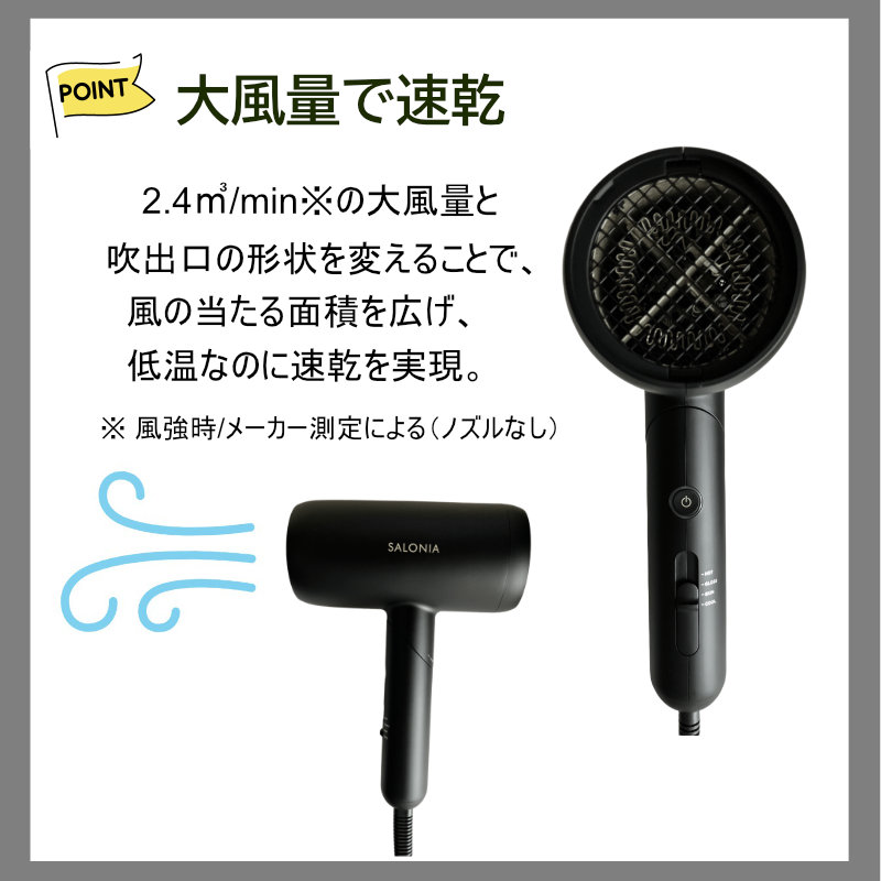 SALONIA（サロニア） スムースシャイン ドライヤー ブラック SALONIA 1