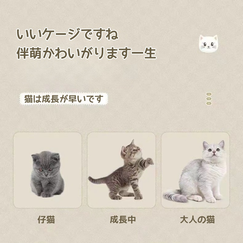 ねこ ページ OFT (~8/19 夏祭りフェア) [猫トイレ HY cat ラージ グレー] 猫