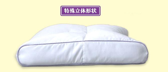 西川 眠りすとリッチ／2個セット(枕カバー2枚＋洗濯ネット1枚) / 枕 