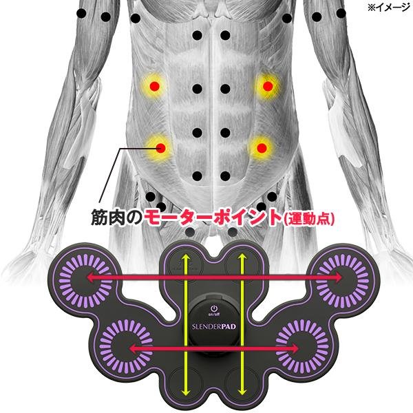 TBC スレンダーパッド2 （ ボディ 用 ） / くびれボディ 筋肉 EMS お腹