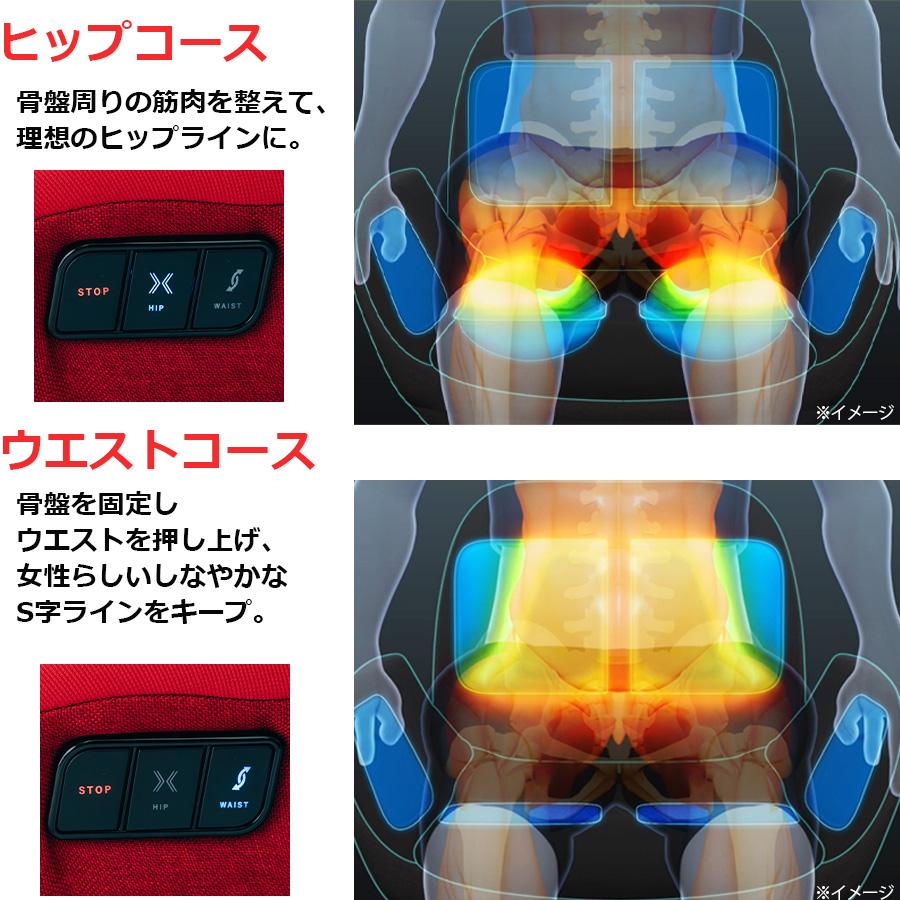 ポルト ビューティーシェイプ / 振動マシン 振動 EMS エクササイズ 【TBSショッピング】