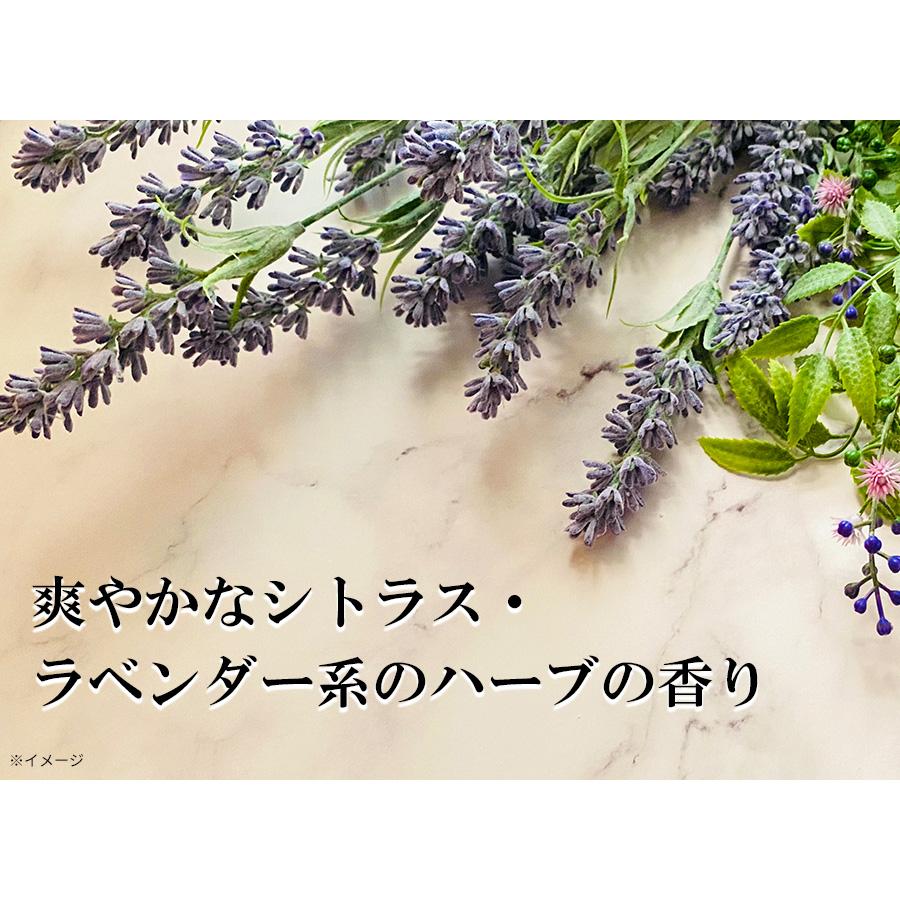 MDNA SKIN マドンナシークレットクリーム 528 /2個セット / MTG