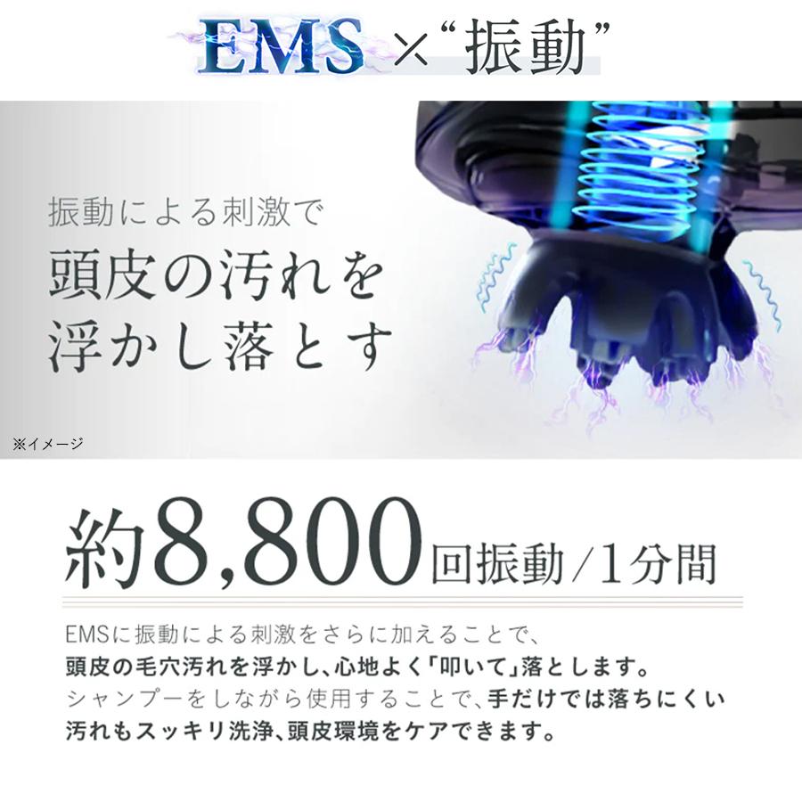 NIPLUX（ニップラックス） EMS ヘッドスパ / TBS特別セット