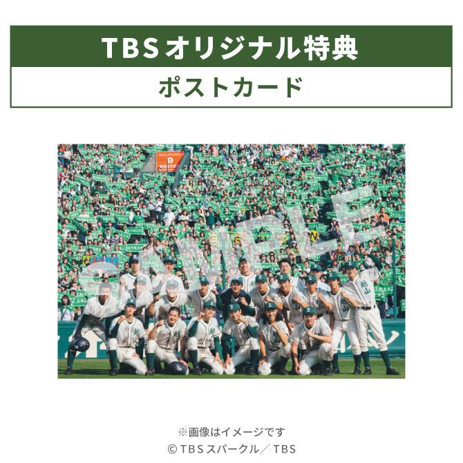 下剋上球児 コスチュームベア 下剋上球児】越山高校／野球部／コスチューム／ベア／くま