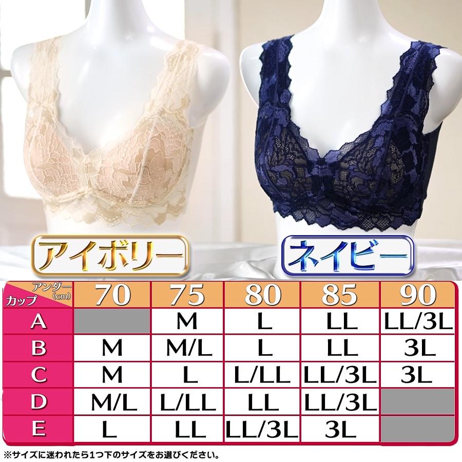 バスティーメイク★ナイトブラ★２枚セット 2WAYキューピットナイトブラ / 2枚セット ブラ バストケア 国広直美