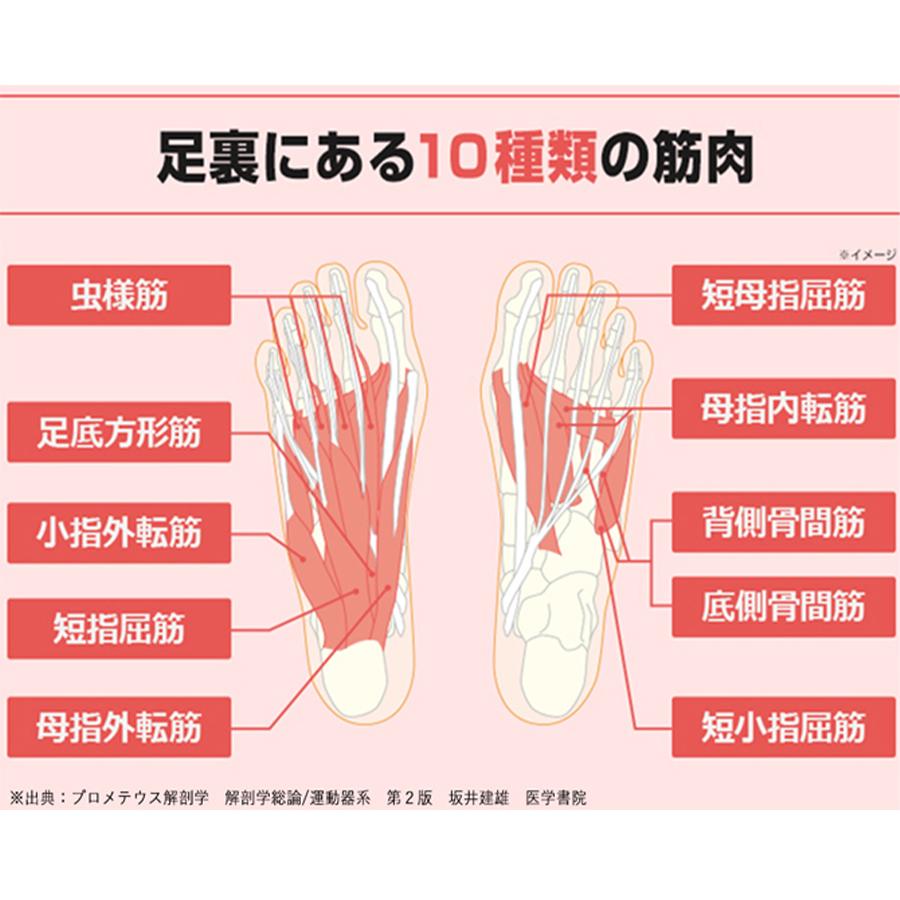 保阪尚希 監修 フットエナジー プロ / EMS 足 脚 ふくらはぎ もも 筋肉