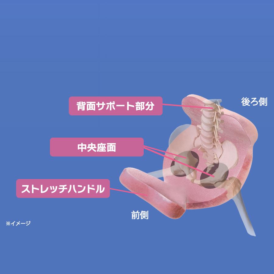 柔ら美人 開脚ベター 健康ストレッチ　ピンク Amazon.co.jp: ゆらゆら股関節回りをストレッチ柔軟性のあるケガ