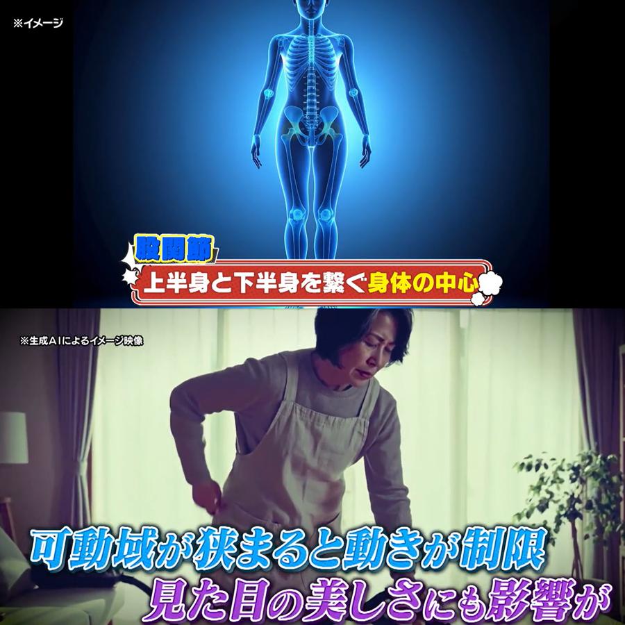 エクストラクッション / GACKTプロデュース / スタイルアップ 骨盤 柔軟 振動マシン 2449 【TBSショッピング】 関連画像2
