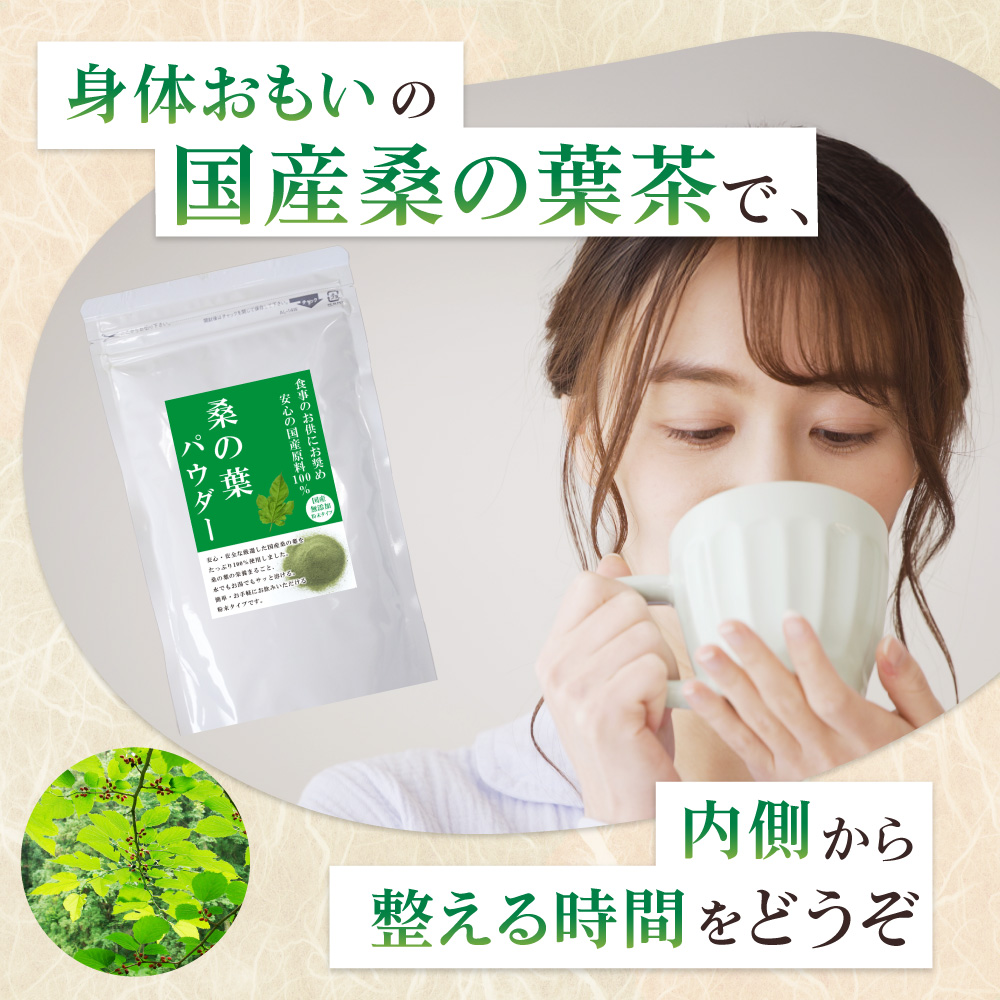 送料無料 国産 桑の葉 パウダー 500g 〜 粉末 桑茶 桑の葉茶 くわ茶