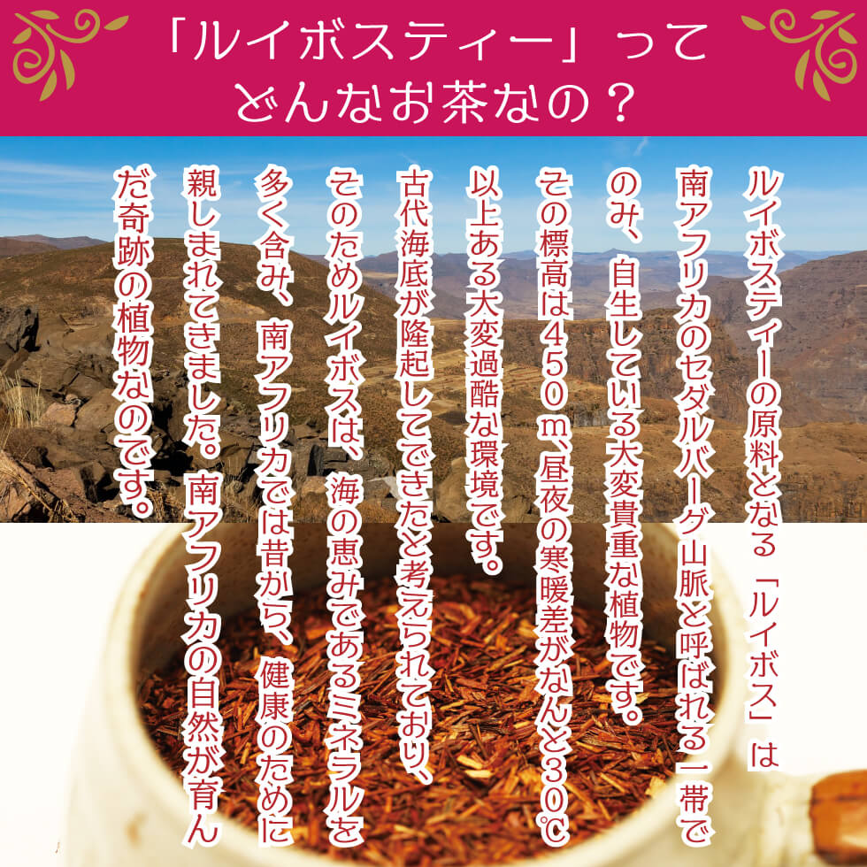 ルイボス茶