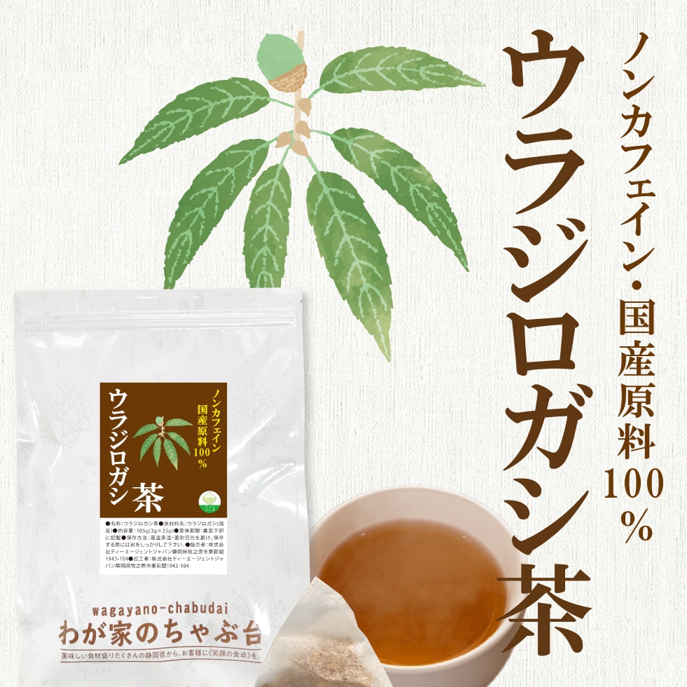 ウラジロガシ茶