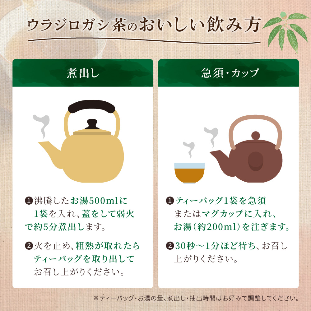 ウラジロガシ茶