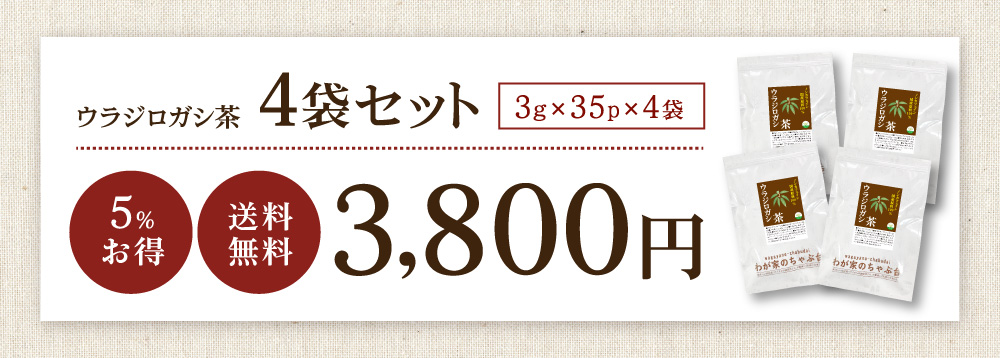 ウラジロTB