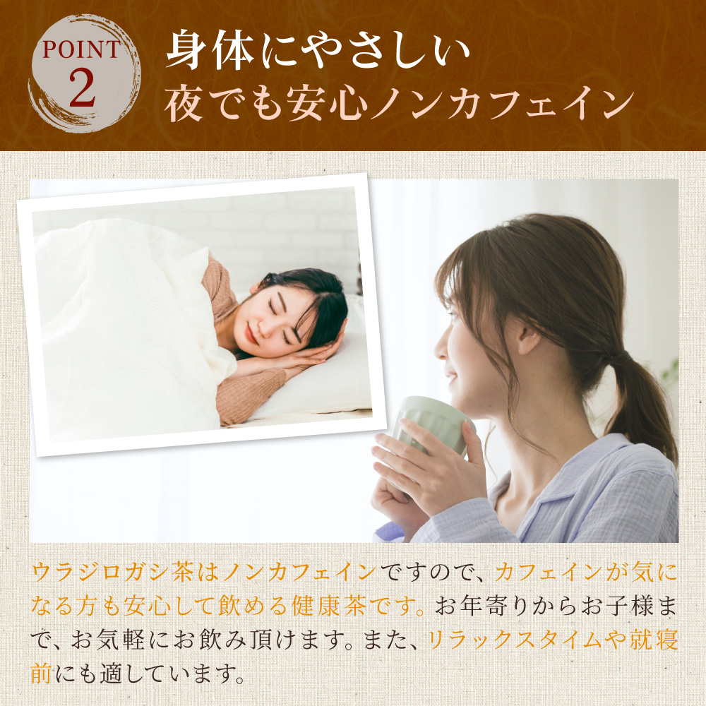 ウラジロガシ茶