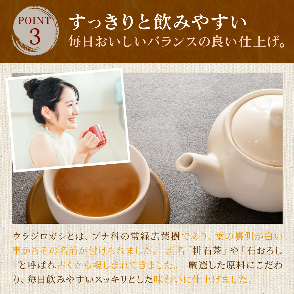ウラジロガシ茶