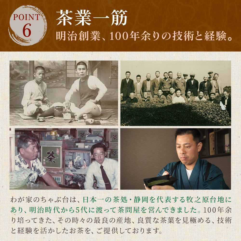 ウラジロガシ茶