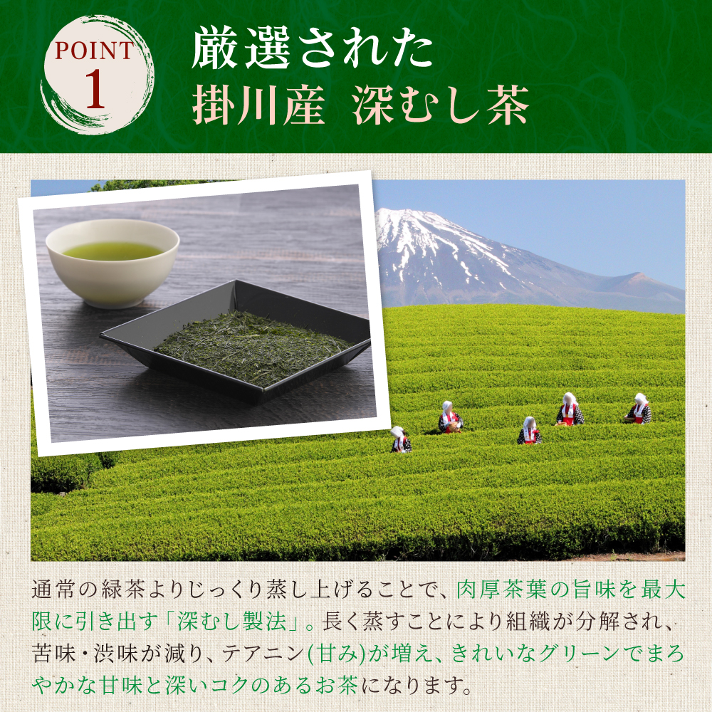 掛川産 深むし上煎茶 100g | わが家のちゃぶ台 送料無料 お茶 緑茶