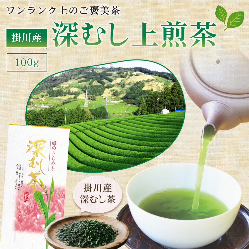 掛川産 深むし上煎茶 100g | わが家のちゃぶ台 送料無料 お茶 緑茶