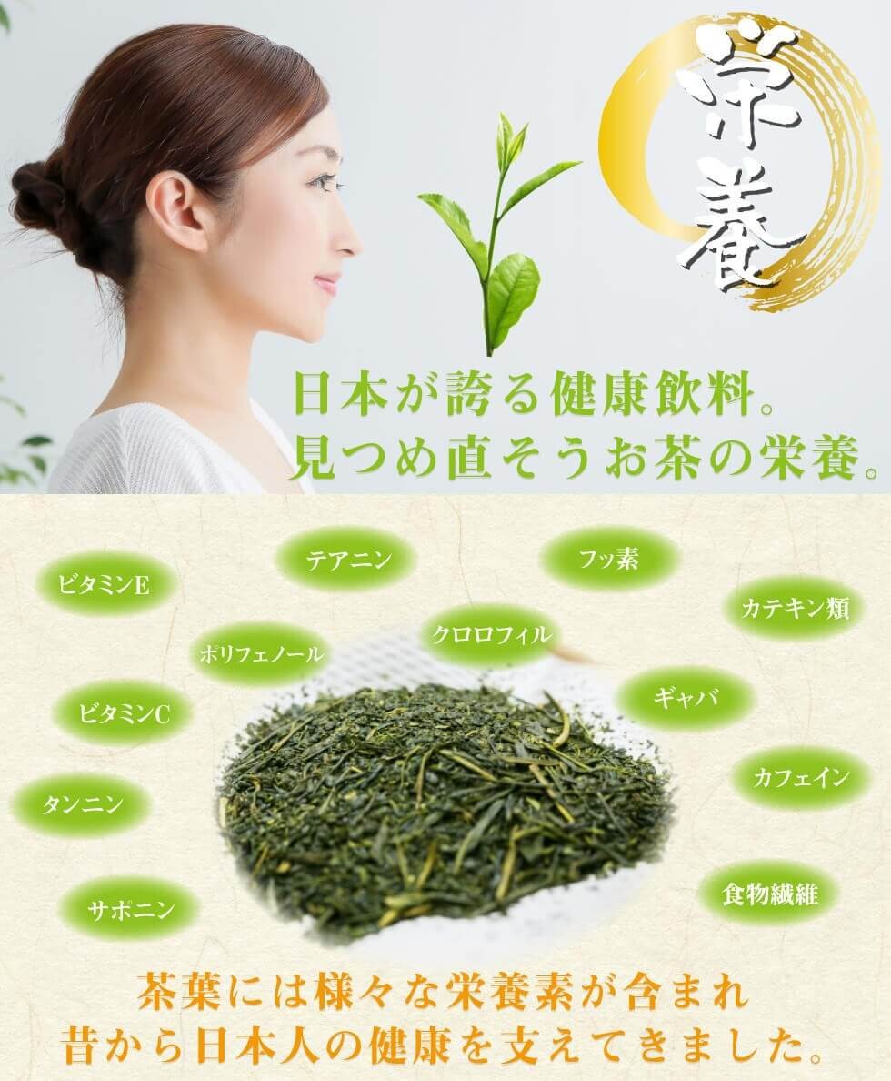 送料無料 知覧 鹿児島茶 100g×3袋セット お茶 緑茶 煎茶 茶 茶葉 お