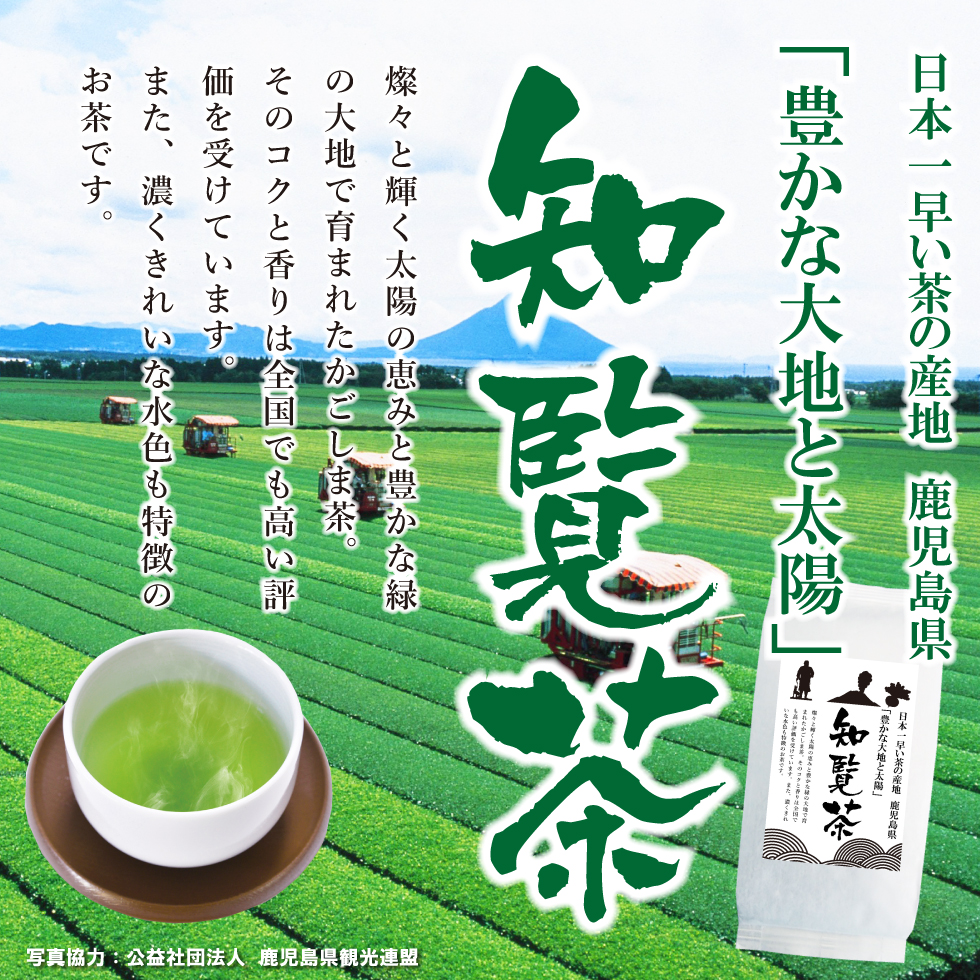 送料無料 知覧 鹿児島茶 100g×3袋セット お茶 緑茶 煎茶 茶 茶葉 お