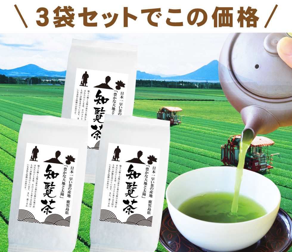 知覧茶3"