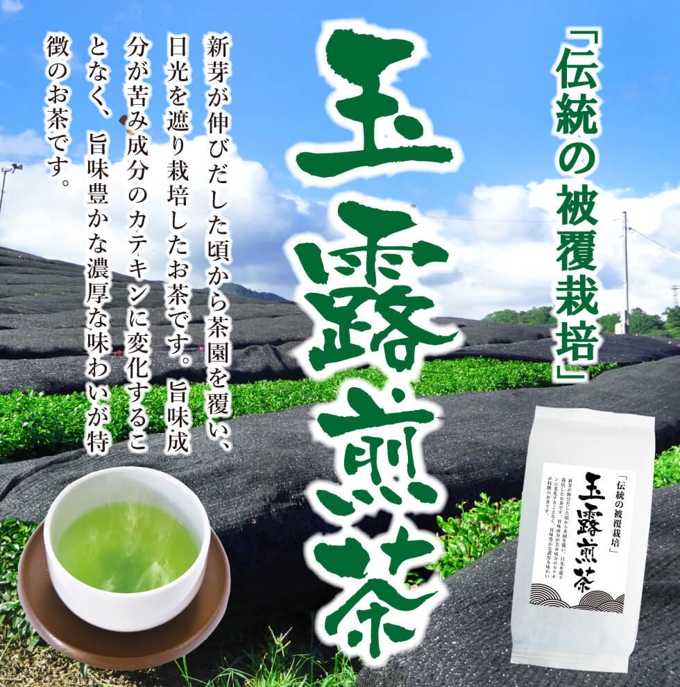 送料無料 玉露煎茶 100g×3袋セット お茶 緑茶 煎茶 茶 茶葉 お茶葉