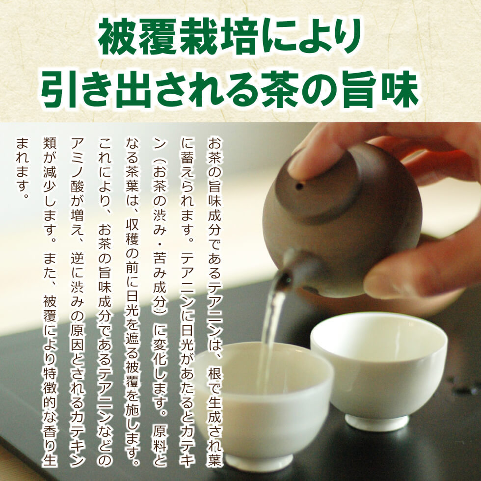 玉露煎茶