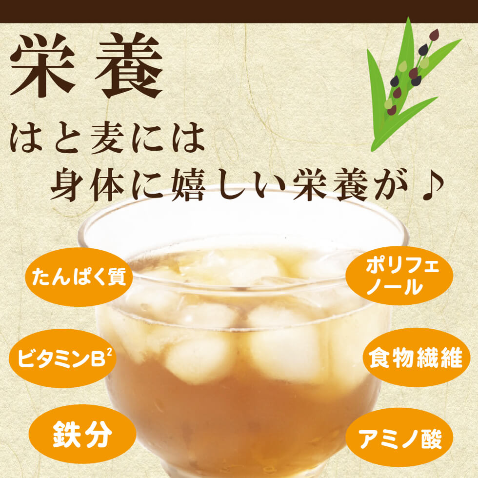 はと麦茶