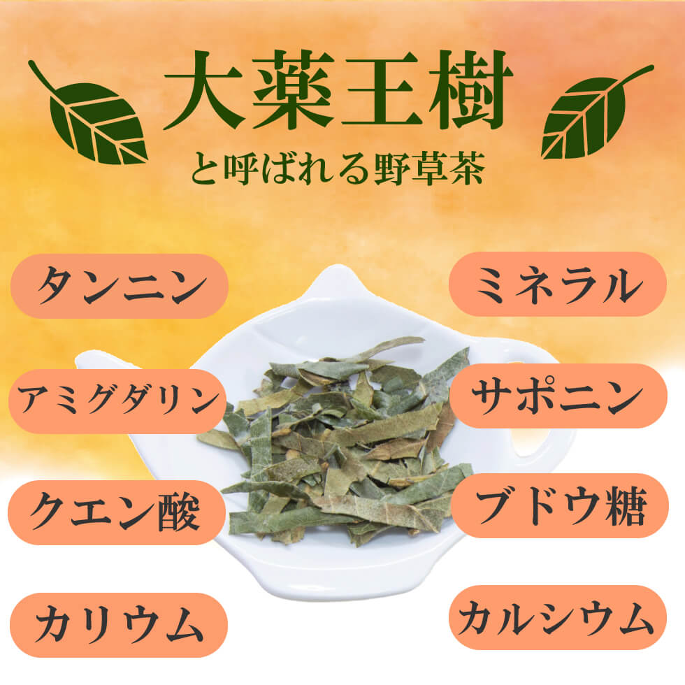 びわの葉茶