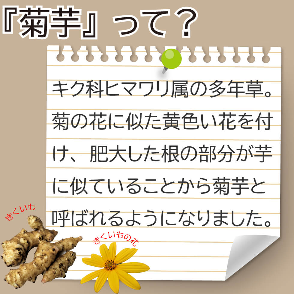 菊芋茶