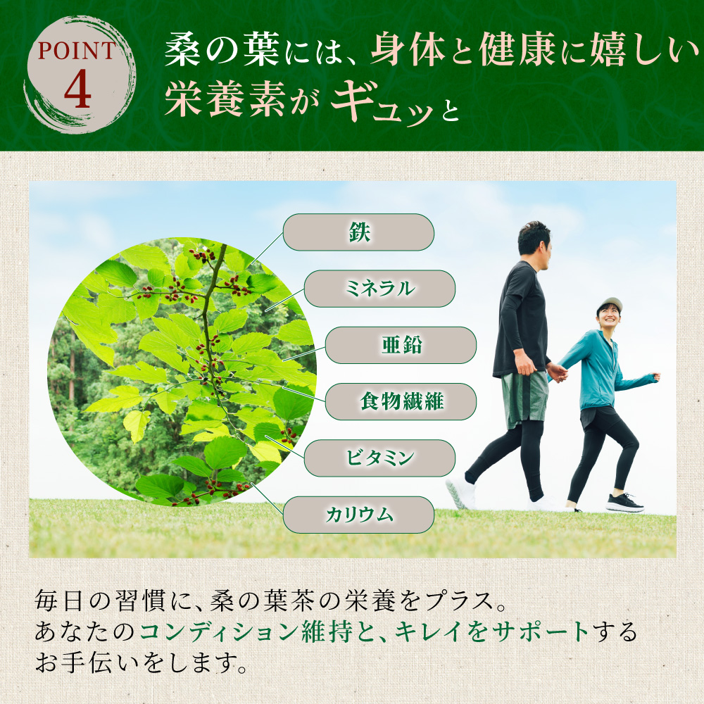 桑の葉パウダー